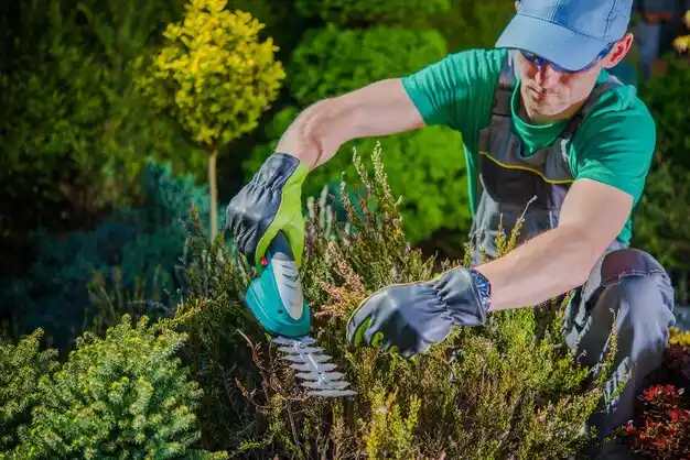 landscaping services Baiting Hollow